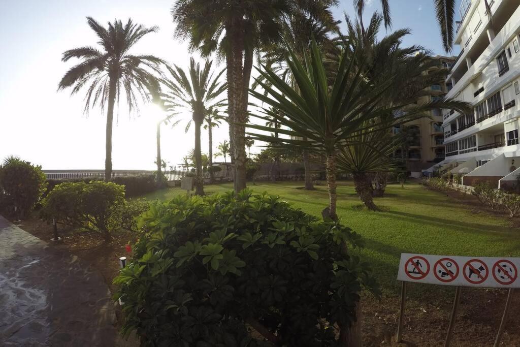 Studio Apartment La Lajilla Located At Beachfront Arguineguin Kültér fotó